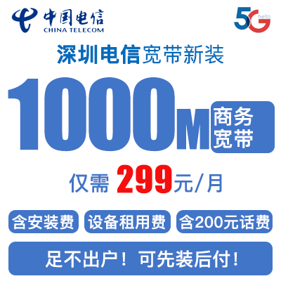 商务1000M，299元每月